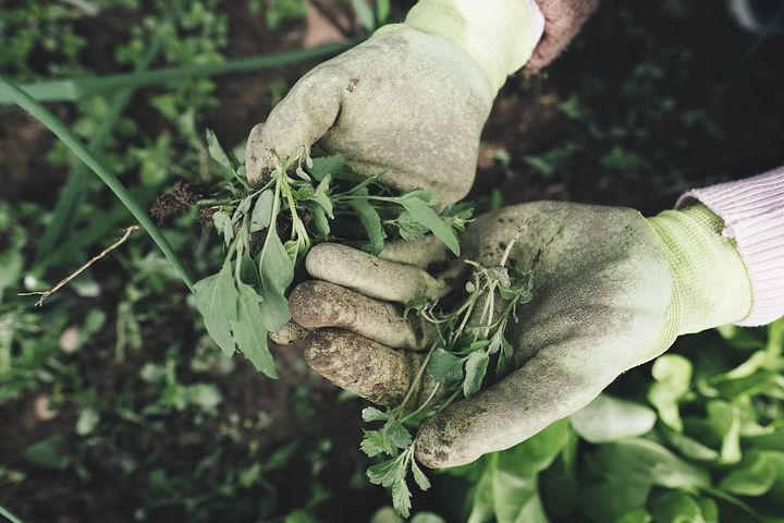 Mein-tagestipp Gartenarbeit