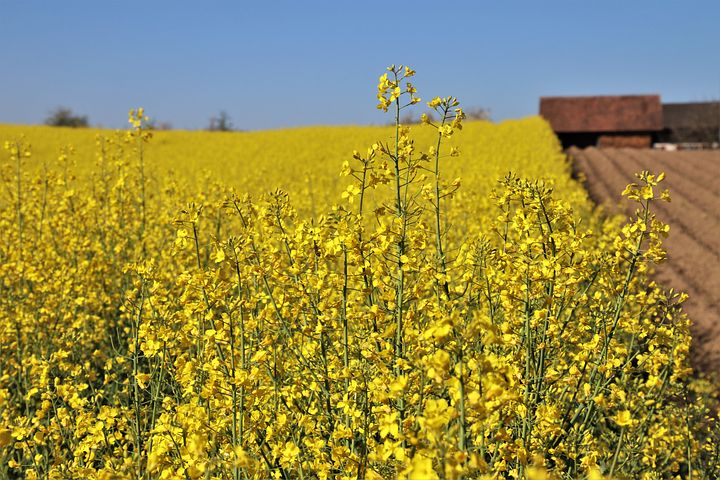 Der April tagestipp