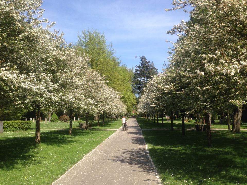 Friedhof Ohlsdorf_2014_Tagestipp