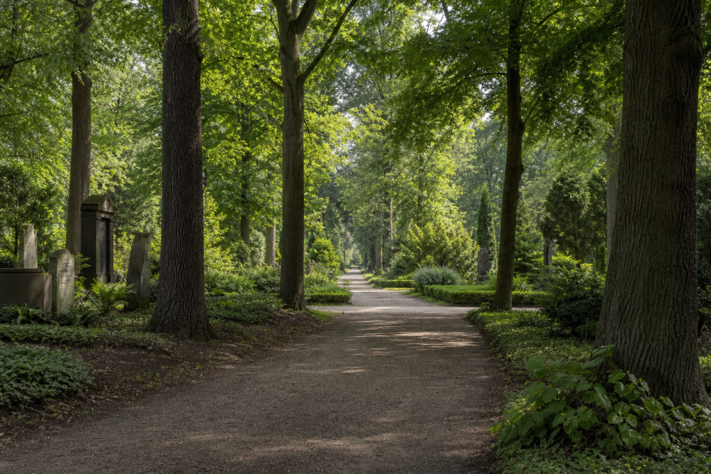 Ruhiger, von alten Bäumen gesäumter Weg auf dem Friedhof Ohlsdorf in Hamburg